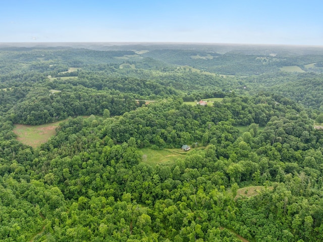 206 Mutt Goolsby Ln, Granville, TN 38564 - photo 76