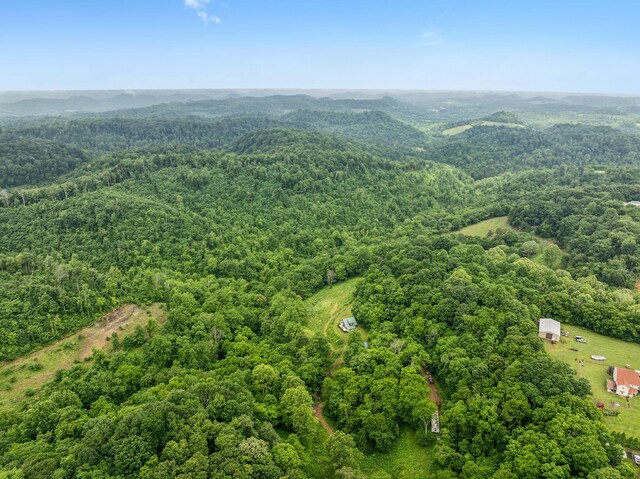 206 Mutt Goolsby Ln, Granville, TN 38564 - photo 72