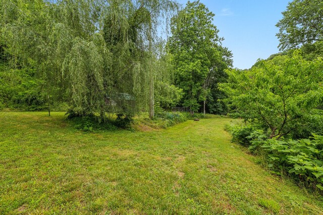 206 Mutt Goolsby Ln, Granville, TN 38564 - photo 63