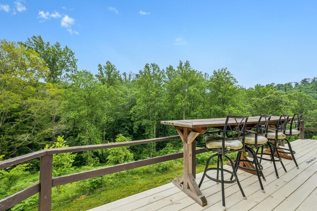 206 Mutt Goolsby Ln, Granville, TN 38564 - photo 61
