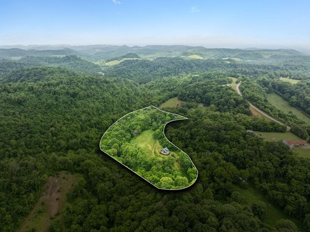 206 Mutt Goolsby Ln, Granville, TN 38564 - photo 73