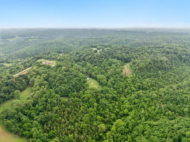 206 Mutt Goolsby Ln, Granville, TN 38564 - photo 79