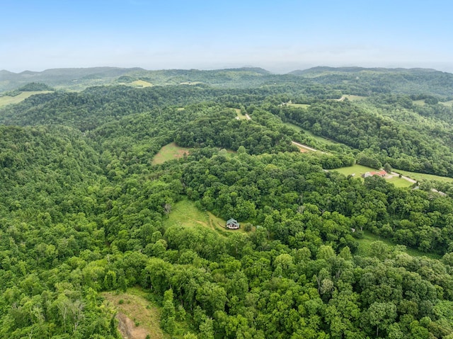 206 Mutt Goolsby Ln, Granville, TN 38564 - photo 74