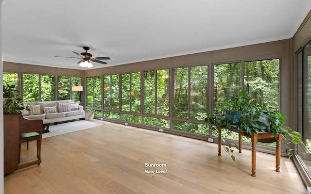 1234 Mountain Brook Cir, Signal Mountain, TN 37377 - sunroom / solarium featuring wood finished floors