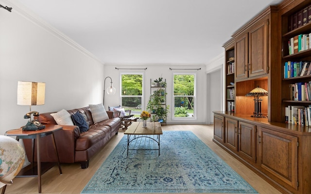 1234 Mountain Brook Cir, Signal Mountain, TN 37377 - living room featuring light wood-style floors and ornamental molding