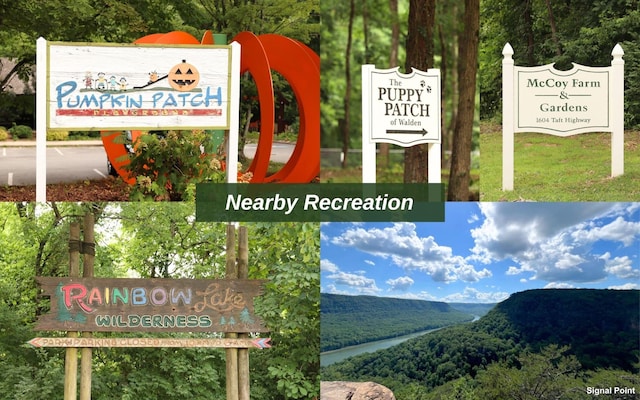 1234 Mountain Brook Cir, Signal Mountain, TN 37377 - exterior view of a mountain backdrop and a heavily wooded area