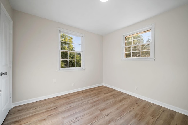 117 Robert Yoest Dr, Antioch, TN 37013 - spare room featuring plenty of natural light, light wood finished floors, and baseboards