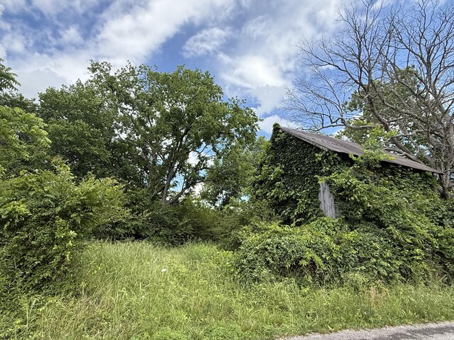 0 Bill Anderson Rd, Portland, TN 37148 - photo 4