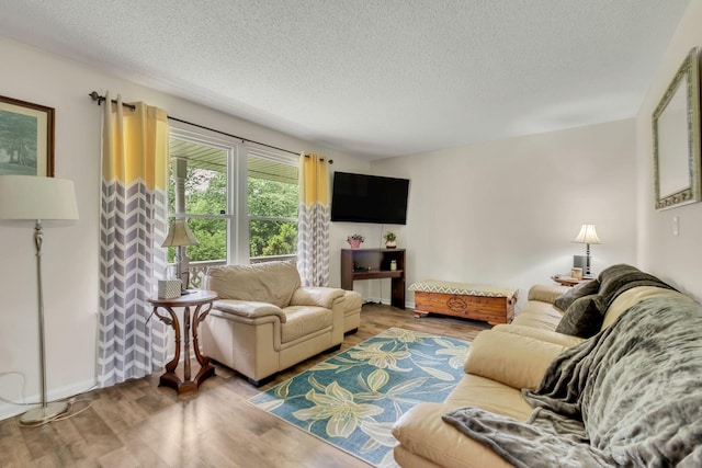 2729 Heights Circle Rd, Greenbrier, TN 37073 - living area with a textured ceiling and wood finished floors