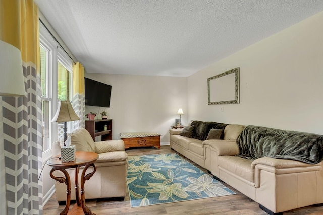 2729 Heights Circle Rd, Greenbrier, TN 37073 - living room featuring a textured ceiling and wood finished floors