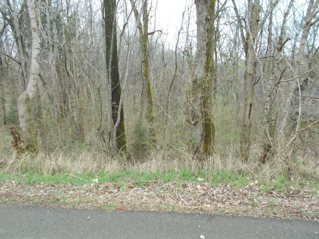 0 Bobbitt Rd, Ashland City, TN 37015 - photo 1