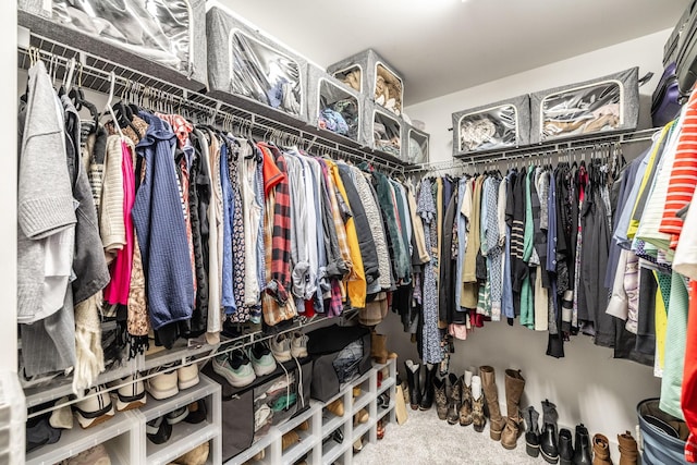 1039 Laffite Way, Gallatin, TN 37066 - spacious closet with carpet flooring