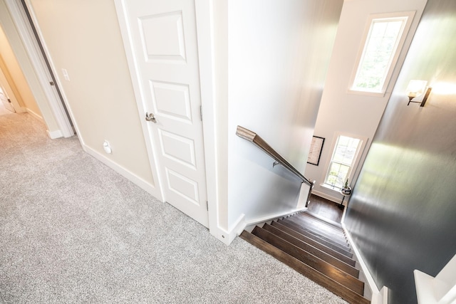 1039 Laffite Way, Gallatin, TN 37066 - staircase with healthy amount of natural light, carpet floors, and baseboards