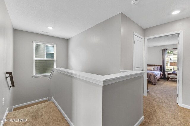 8646 Leeanna Brooke Ln, Knoxville, TN 37920 - photo 37