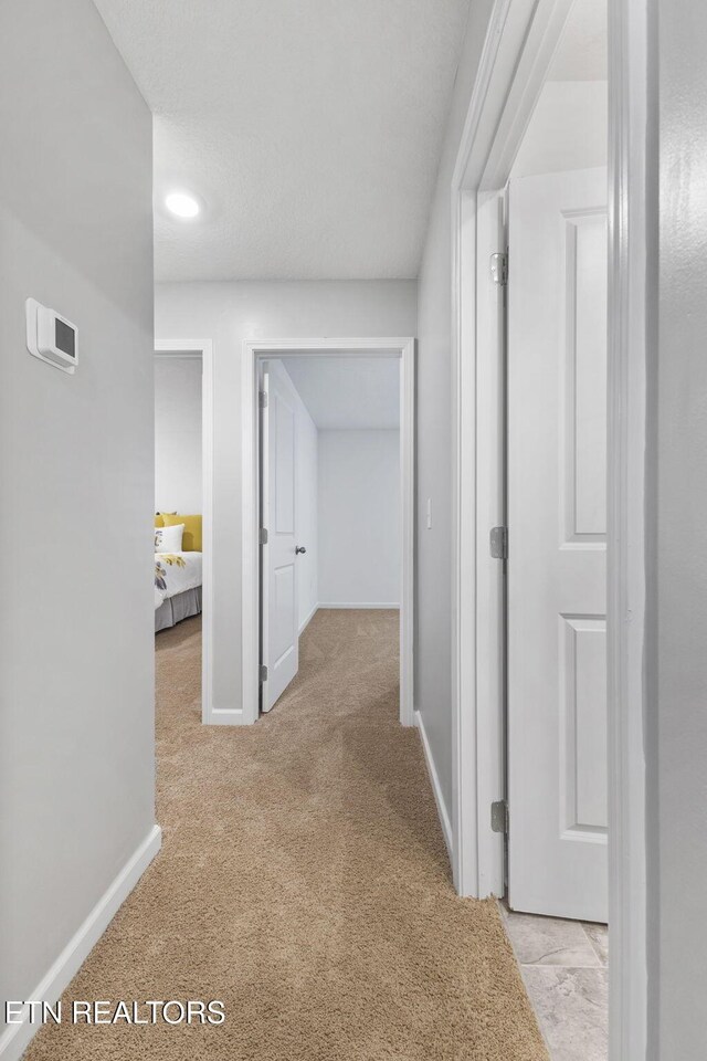 8646 Leeanna Brooke Ln, Knoxville, TN 37920 - photo 48