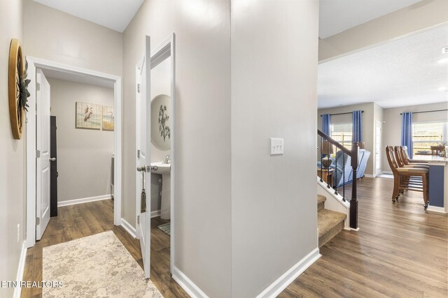 8646 Leeanna Brooke Ln, Knoxville, TN 37920 - photo 8