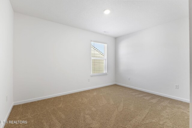 8646 Leeanna Brooke Ln, Knoxville, TN 37920 - photo 51