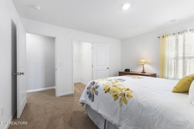 8646 Leeanna Brooke Ln, Knoxville, TN 37920 - photo 44
