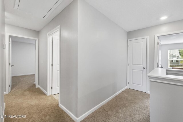 8646 Leeanna Brooke Ln, Knoxville, TN 37920 - photo 38