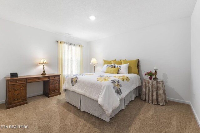 8646 Leeanna Brooke Ln, Knoxville, TN 37920 - photo 43