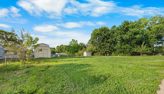 517 Overton Dr, Clarksville, TN 37042 - view of yard