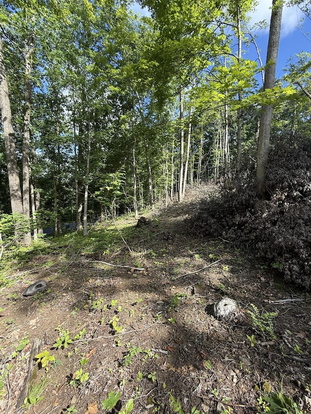 0 Rock Bridge Rd, Bethpage, TN 37022