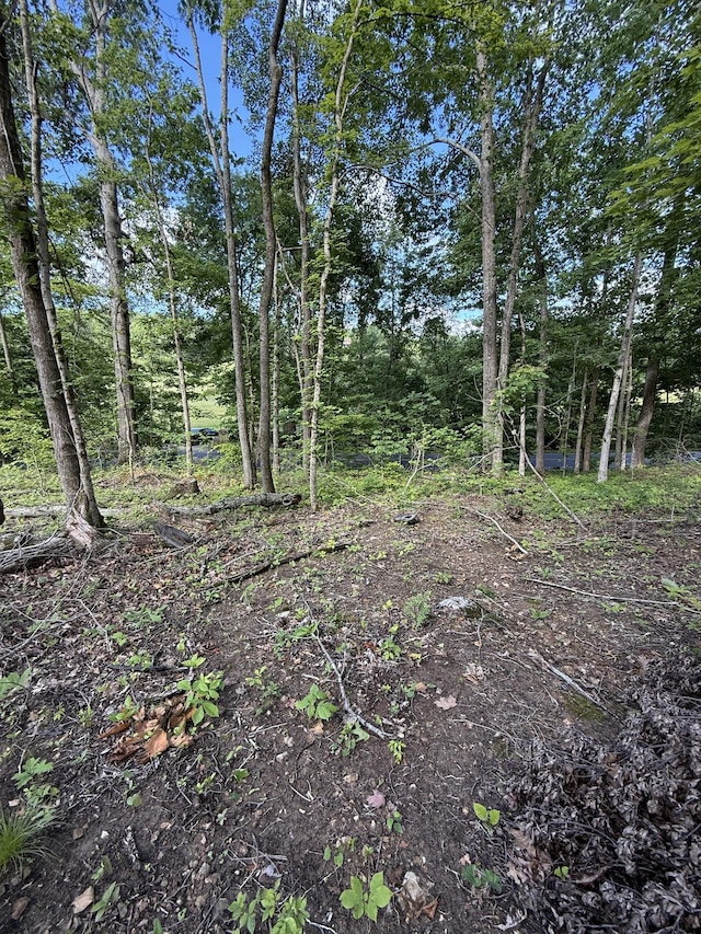 0 Rock Bridge Rd, Bethpage, TN 37022