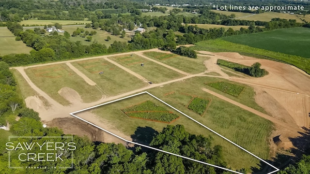 1515 Lurah Ln, Franklin, TN 37064 - photo 3