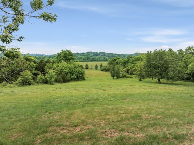5307 Leipers Creek Rd, Franklin, TN 37064 - view of green lawn with a view of rural / pastoral area