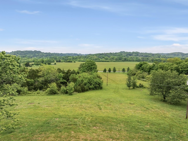 5307 Leipers Creek Rd, Franklin, TN 37064 - view of mountain backdrop featuring rural landscape