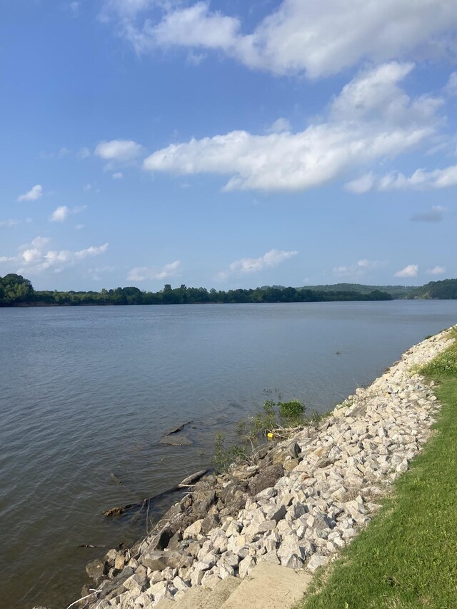 1139 River Front Dr, Clifton, TN 38425