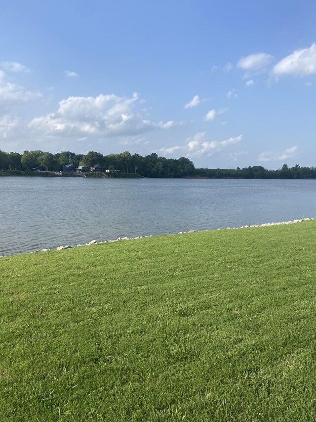 1139 River Front Dr, Clifton, TN 38425