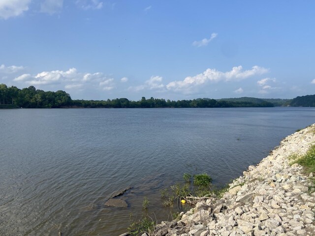 1139 River Front Dr, Clifton, TN 38425