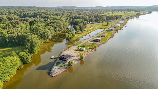 1139 River Front Dr, Clifton, TN 38425