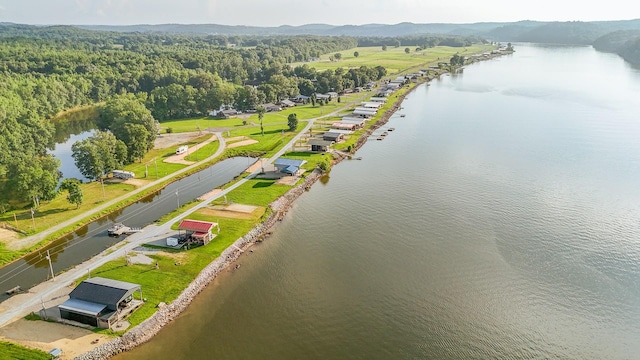 1139 River Front Dr, Clifton, TN 38425