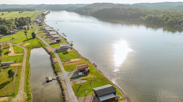 1139 River Front Dr, Clifton, TN 38425