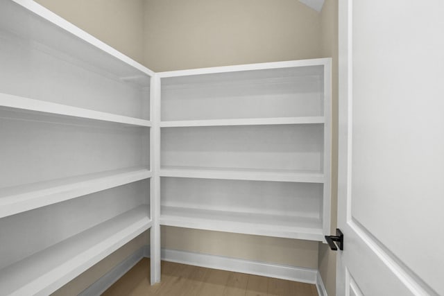 5971 Hunt Valley Dr, Spring Hill, TN 37174 - view of pantry