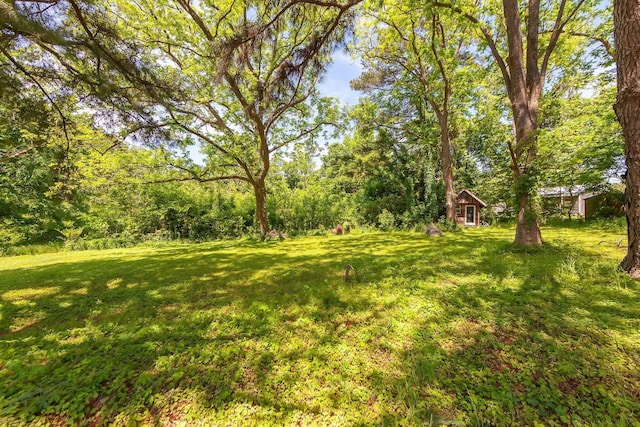 3396 Unionville Rd, Halls, TN 38040 - view of grassy yard featuring an outdoor structure and a forest view