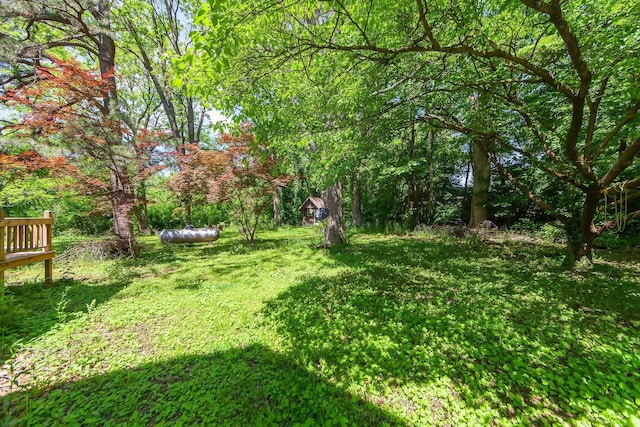 3396 Unionville Rd, Halls, TN 38040 - view of green lawn