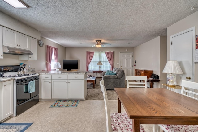 825 Oak St, Franklin, KY 42134 - kitchen featuring black gas stove, under cabinet range hood, a peninsula, light colored carpet, and a textured ceiling