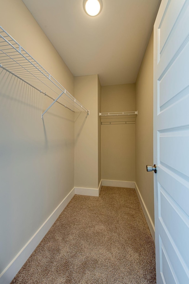 3010 Coriander Dr, Spring Hill, TN 37174 - walk in closet with carpet flooring