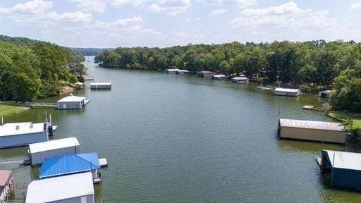 250 Contreau Ln, Counce, TN 38326