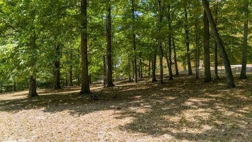 250 Contreau Ln, Counce, TN 38326