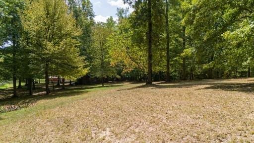 250 Contreau Ln, Counce, TN 38326