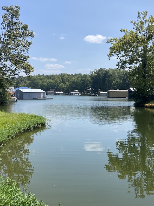 250 Contreau Ln, Counce, TN 38326