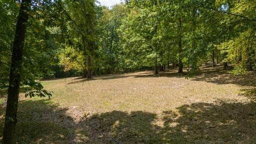 250 Contreau Ln, Counce, TN 38326