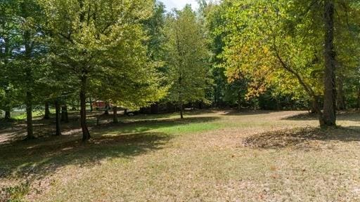 250 Contreau Ln, Counce, TN 38326