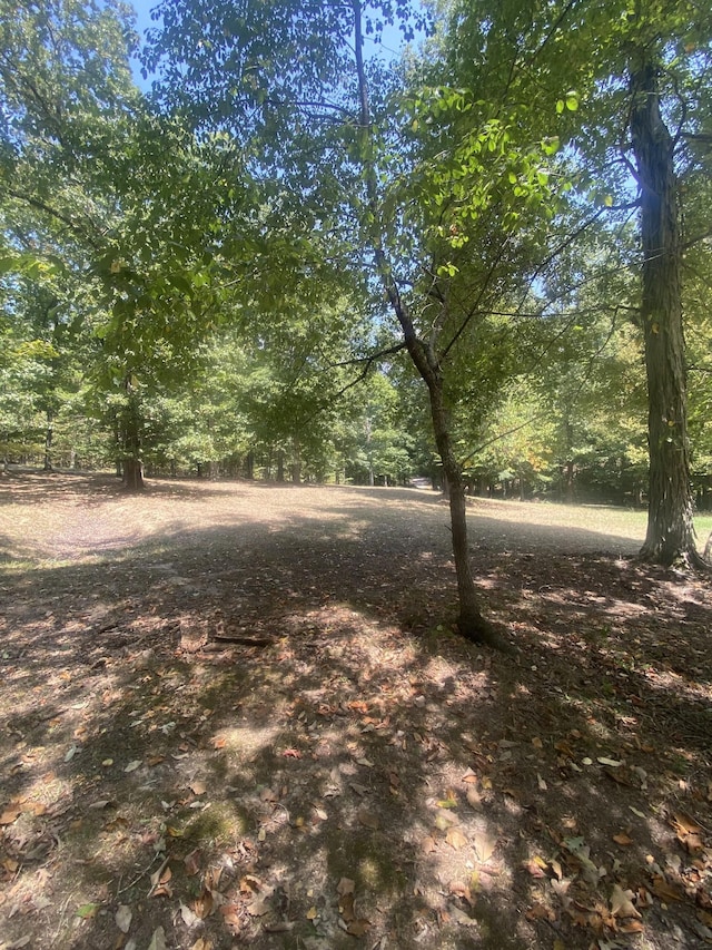 250 Contreau Ln, Counce, TN 38326