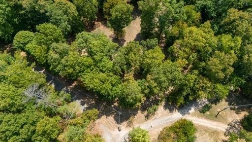250 Contreau Ln, Counce, TN 38326