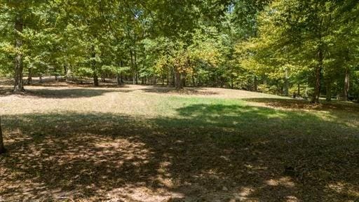 250 Contreau Ln, Counce, TN 38326